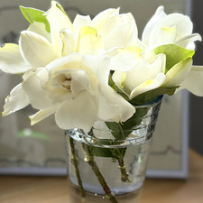 Fiore