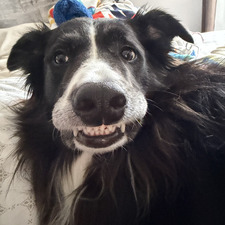 Rielly