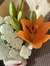 poppy (...