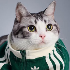 Alexander