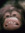 Monkey Monday