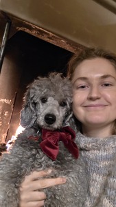 Solveig