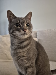 Max
