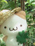 fifi