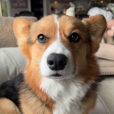 Megan