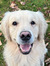 Dakotah...