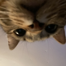 ang