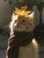 Cate