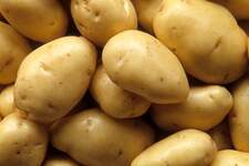 potatoreads