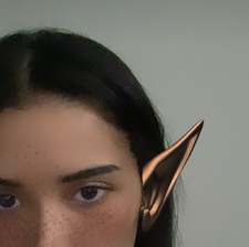 Neta