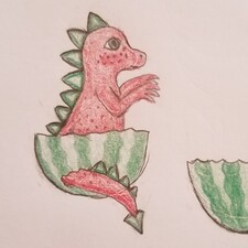 Catopus