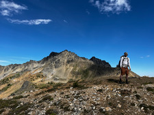 Beau Brown