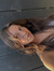 Chelly
