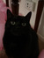 Abby