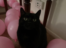 Abby