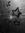 Kayreen