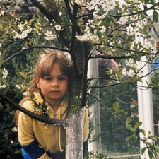 Maja