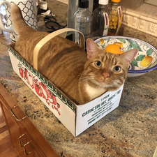 Ruben