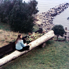 Flavia