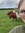 Sanne