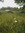 Emma