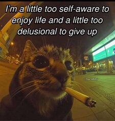 EggoDoggo