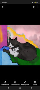 чорно-білий кіт 