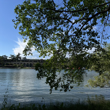 تِبْيـــان