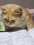 Reader_Lou
