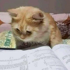 Reader_Lou