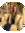 Kelli Anderson | 2 comments