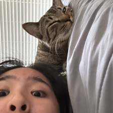sofdumpling