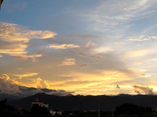 Aleja