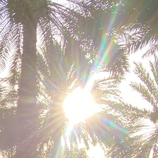 ☀️