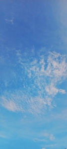 Sararahu