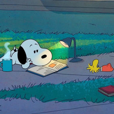 Ed reads