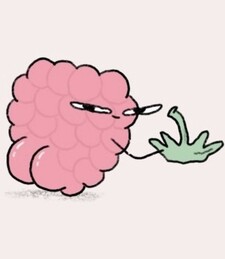 berry