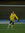 Max Maier