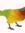 MangoCrow