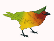 MangoCrow