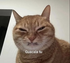 NCelma
