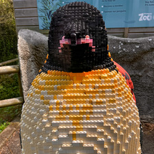 Tom B