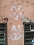 Vulpes