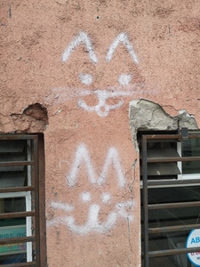 Vulpes