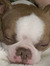 AL 