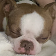 AL 