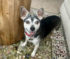 Sam