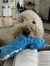 Sadie L...