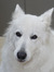 Bumsu