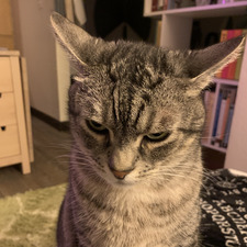 Kaepa